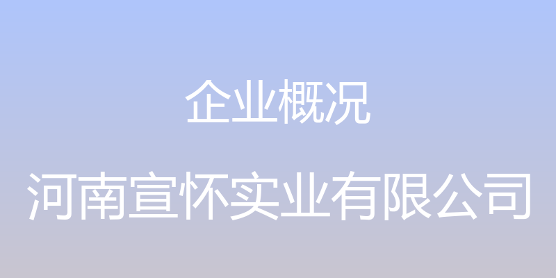 企业概况 - 河南宣怀实业有限公司