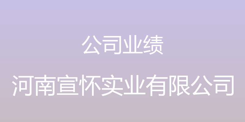 公司业绩 - 河南宣怀实业有限公司