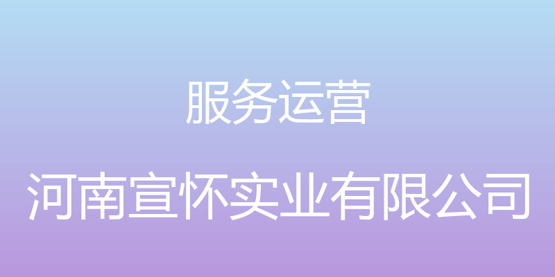 服务运营 - 河南宣怀实业有限公司